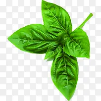 生鲜蔬菜节令新鲜-空若网 生鲜蔬菜节令新鲜-空若网