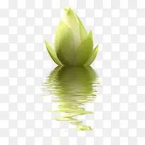 û�����Ļ���-������