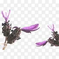 Þ¹Ò²ݻ¨ÀÙ-¿ÕÈôÍø Þ¹Ò²ݻ¨ÀÙ-¿ÕÈôÍø