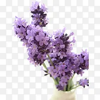 Þ¹Ò²ݻ¨¶ä-¿ÕÈôÍø Þ¹Ò²ݻ¨¶ä-¿ÕÈôÍø