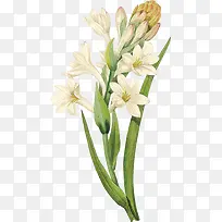 ����ˮ�ʺϳ�ˮ�ɻ�-������