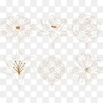 水彩画菊花矢量图-空若网 水彩画菊花矢量图-空若网