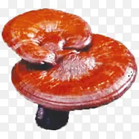 ºìºÖÉ«ÁéÖ¥ÏɲÝ-¿ÕÈôÍø ºìºÖÉ«ÁéÖ¥ÏɲÝ-¿ÕÈôÍø