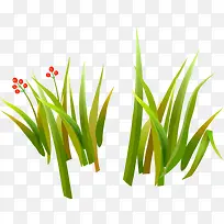 С����С��-������