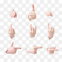 手指-空若网 手指-空若网