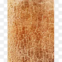 ¶¯ÎïÆ¤·ôÎÆÀí±³¾°-¿ÕÈôÍø ¶¯ÎïÆ¤·ôÎÆÀí±³¾°-¿ÕÈôÍø