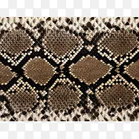 ������Ƥ��������-������