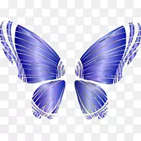 蝴蝶摄影桌面壁纸夹艺术翅膀-空若网 蝴蝶摄影桌面壁纸夹艺术翅膀-空若网