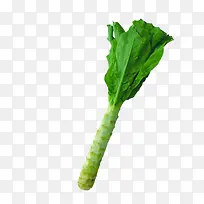 ݫ��-������