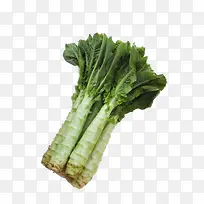 莴笋-空若网 莴笋-空若网