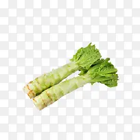 ݫ��-������