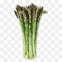 ݫ���ͼ-������