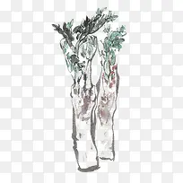 2颗莴笋-空若网 2颗莴笋-空若网