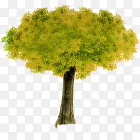 绿树秋日草原风景-空若网 绿树秋日草原风景-空若网