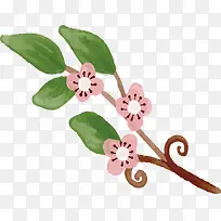 ��ͨӣ����֦-������