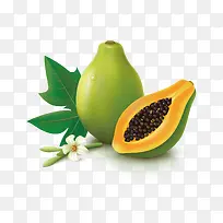 木瓜矢量下载-空若网 木瓜矢量下载-空若网