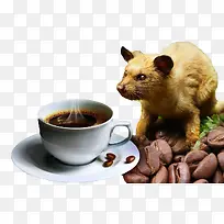 猫屎咖啡产品实物图-空若网 猫屎咖啡产品实物图-空若网