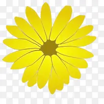 黄色菊花卡通手绘-空若网 黄色菊花卡通手绘-空若网