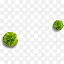 圆形球形绿树-空若网 圆形球形绿树-空若网