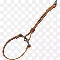 ��װ���Ρ�Ƥ��ʱ��.��Ȯ-������