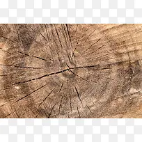 ľ׮���ֱ���-������