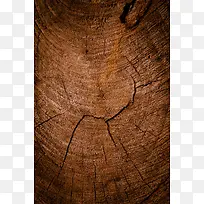 木纹年轮背景-空若网 木纹年轮背景-空若网