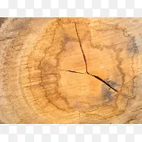 黄色年轮背景素材-空若网 黄色年轮背景素材-空若网