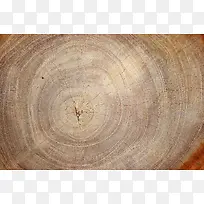 ľ�����ֱ���-������