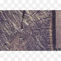 木头年轮背景-空若网 木头年轮背景-空若网
