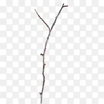 ��֦-������