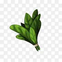 蔬菜-空若网 蔬菜-空若网