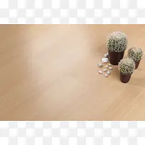 ľ�ذ��ϵ�������-������