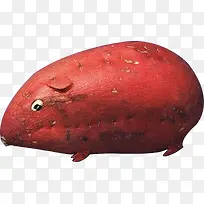 红薯-空若网 红薯-空若网