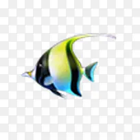 开通小鱼素材-空若网 开通小鱼素材-空若网