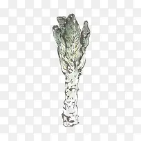 木耳菜-空若网 木耳菜-空若网