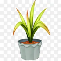 一盆绿草-空若网 一盆绿草-空若网