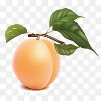 ʸÁ¿Ë®ÃÛÌÒ-¿ÕÈôÍø ʸÁ¿Ë®ÃÛÌÒ-¿ÕÈôÍø