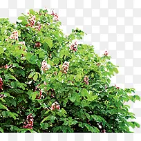 ����������-������