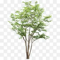 ������png�ز�-������