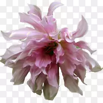 �л�ʱ�л�ɫ-������-������