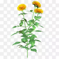 ÒÕÊõ²©¿Í¼ô¼ÒÕÊõ-´óÀö-¿ÕÈôÍø ÒÕÊõ²©¿Í¼ô¼ÒÕÊõ-´óÀö-¿ÕÈôÍø