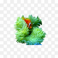 ²Ý-¿ÕÈôÍø ²Ý-¿ÕÈôÍø