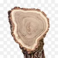 ������-������