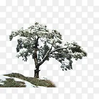 ���������-������