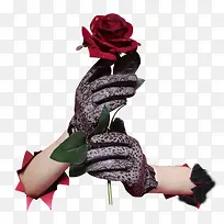 手拿玫瑰-空若网 手拿玫瑰-空若网