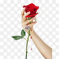 ����õ��-������