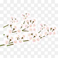 矢量花卉-空若网 矢量花卉-空若网