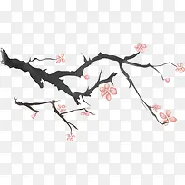 梅花素材-空若网 梅花素材-空若网