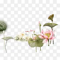 荷花荷叶手绘水彩画-空若网 荷花荷叶手绘水彩画-空若网