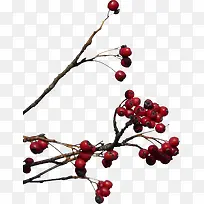 ��ɫ��ɽ���-������